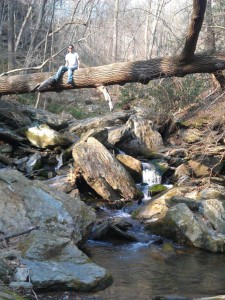 Where's Wil Hiking