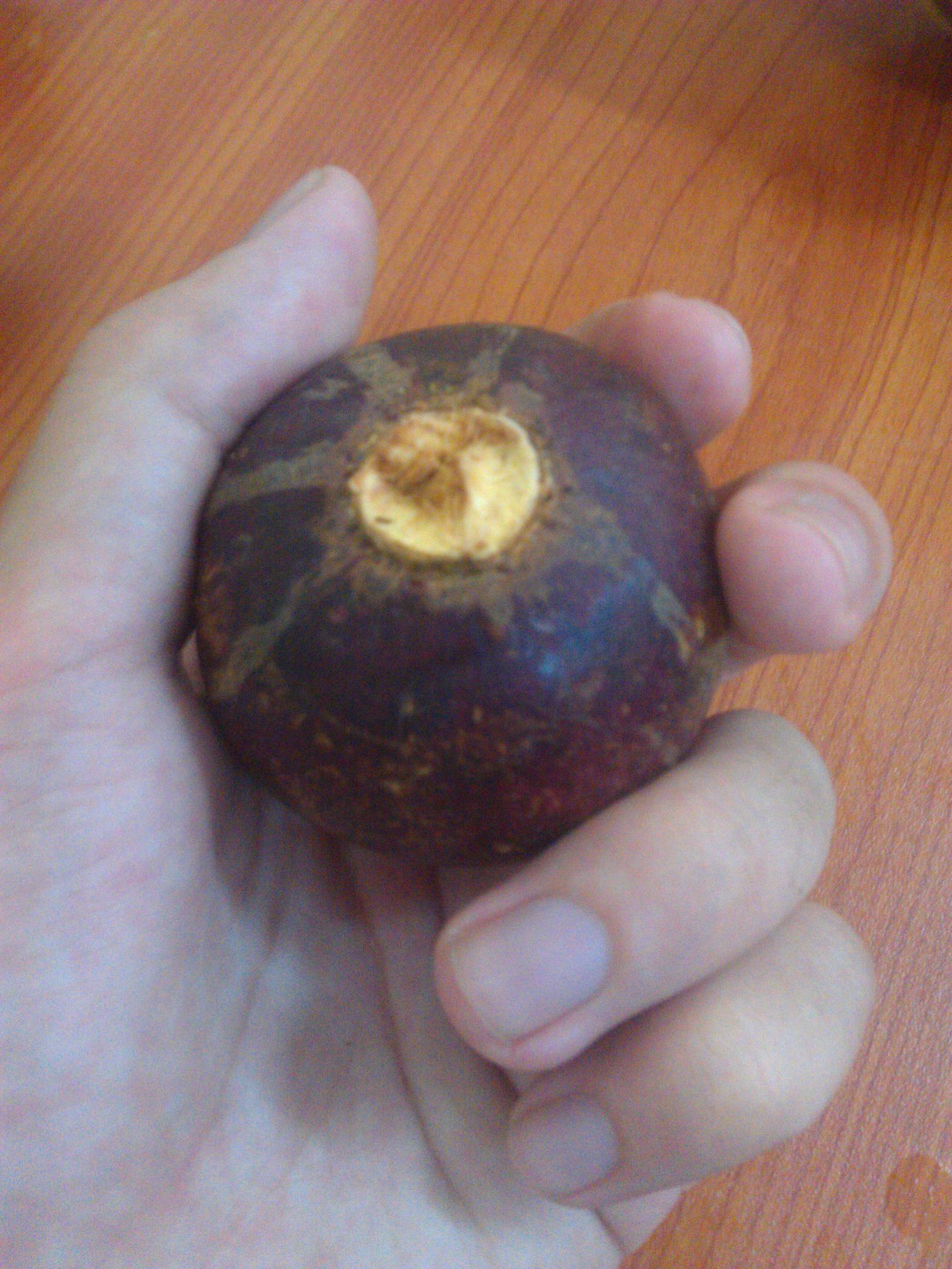 Mangosteen