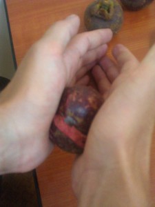 Mangosteen