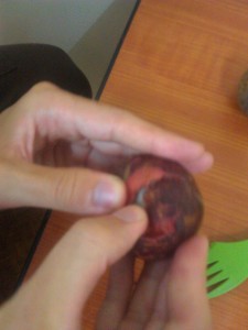 Mangosteen