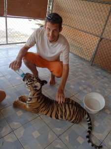 Feeding a Tiger Cub Safari Volunteer
