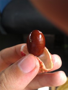Lychee How to Eat