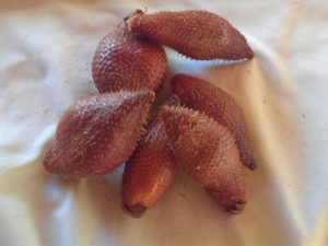Snake Fruit, sa-lak, sa-la