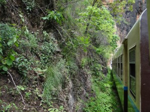 Myanmar Train