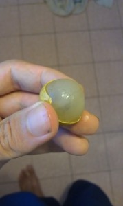 Longan-Fruit