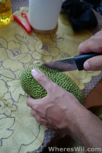Cempedak-Fruit-Cutting