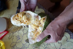 Cempedak-Fruit-Open