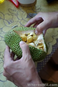Cempedak-Fruit-Opening