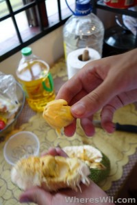 Cempedak-Fruit-Piece