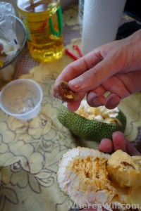 Cempedak-Fruit-Seed