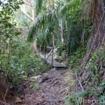 Bako-trail