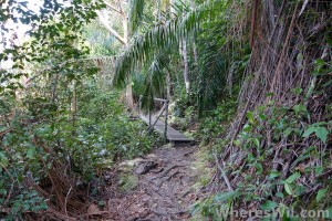 Bako-trail