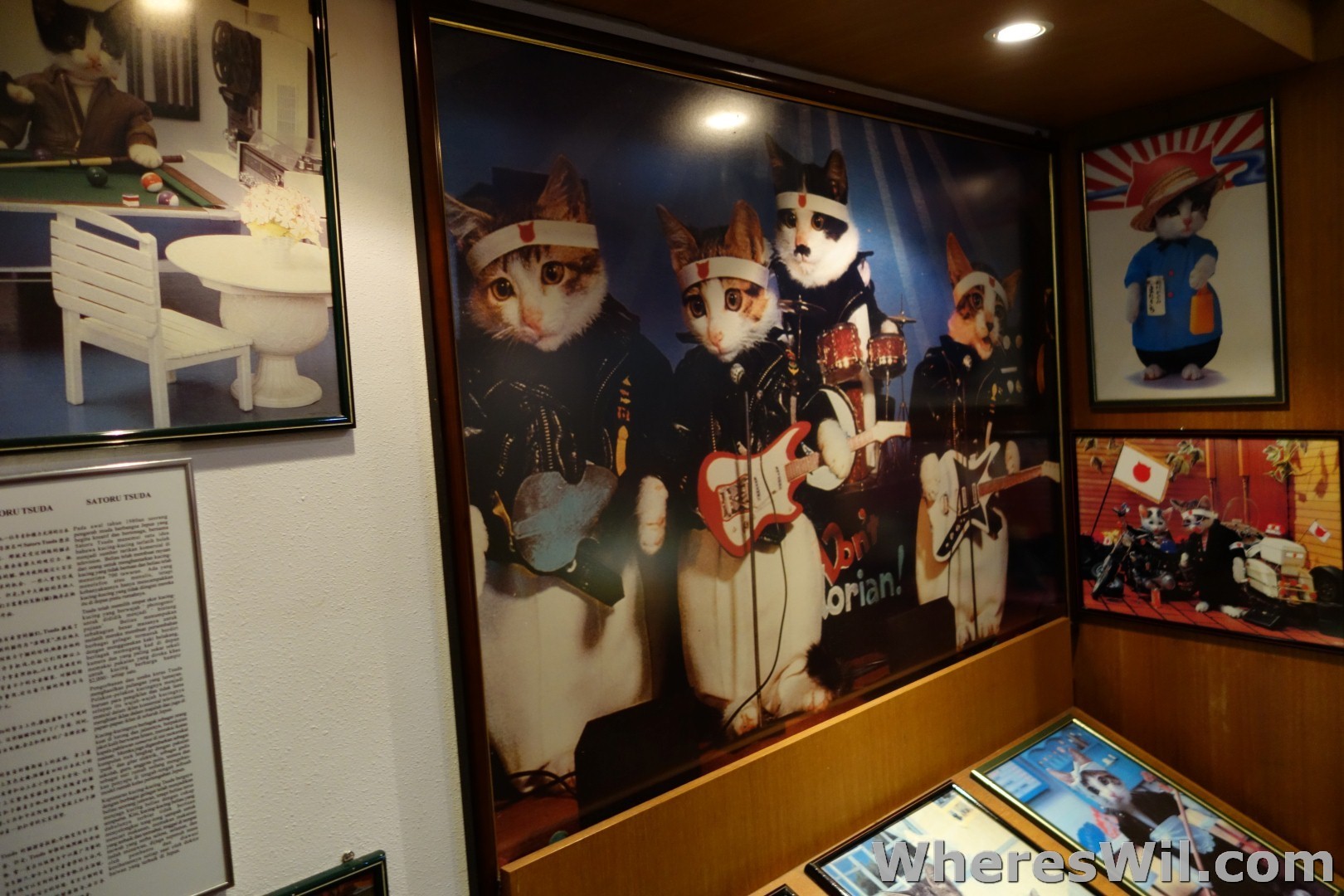 Kuching Means 'Cat' In Malay - A Quick Glance At Kuching's Cat Museum