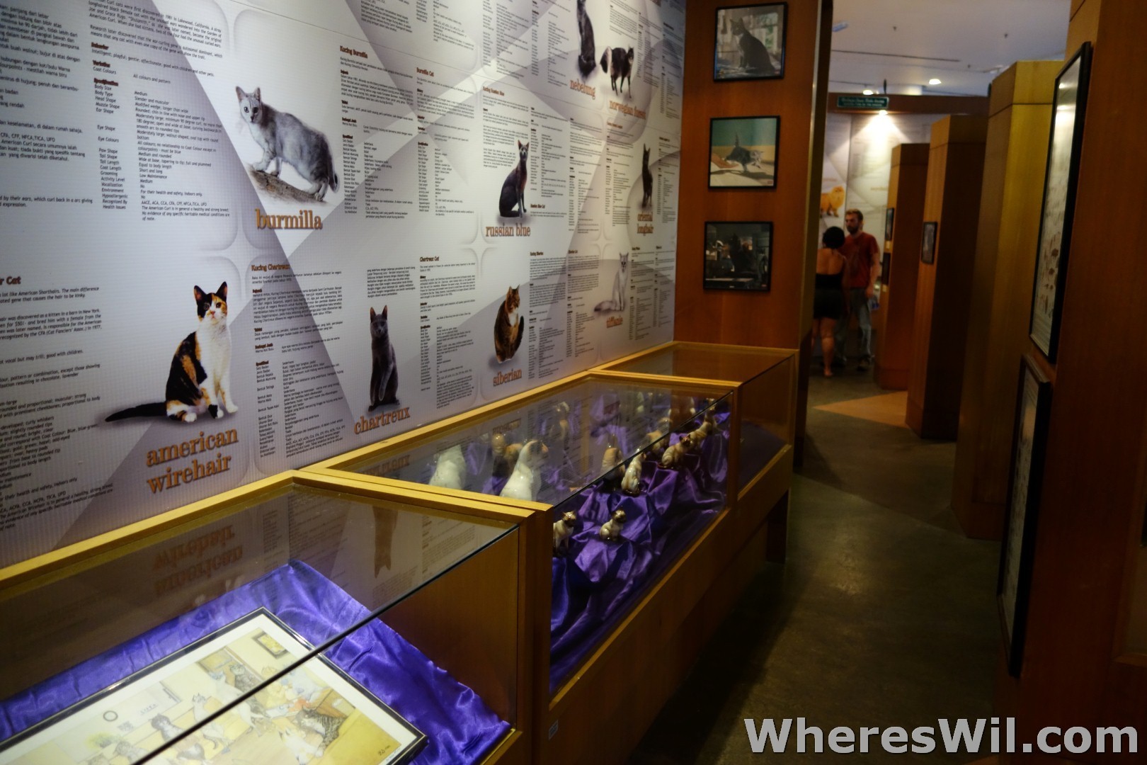 Kuching Means 'Cat' In Malay - A Quick Glance At Kuching's Cat Museum