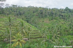 Bali Scenery