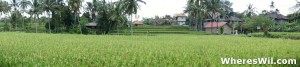 Bali Villa View
