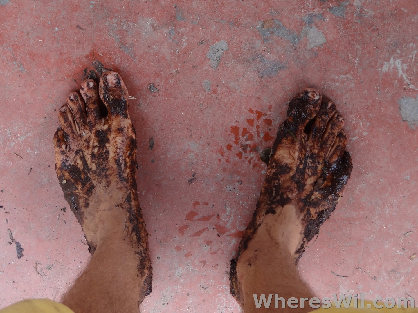 Barefoot-In-The-Jungle-1