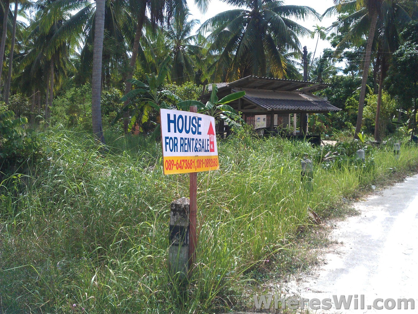 For-Rent-Sign-Koh-Phangan