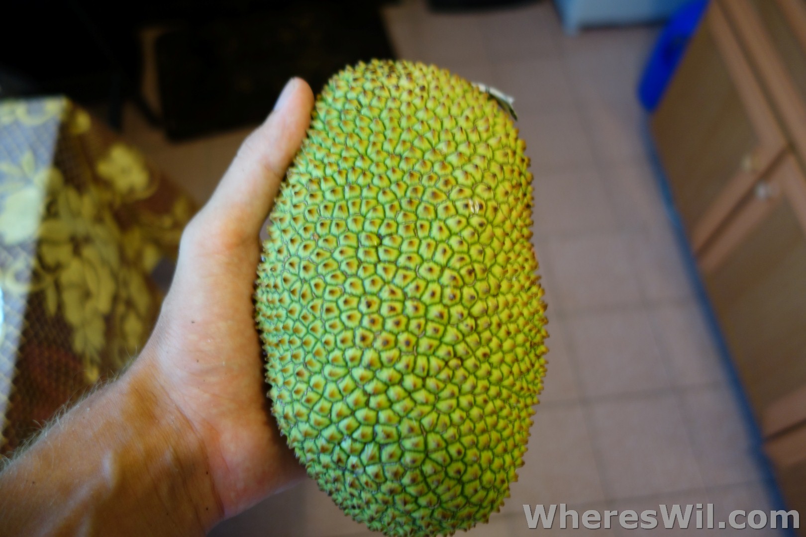 Cempedak-Fruit