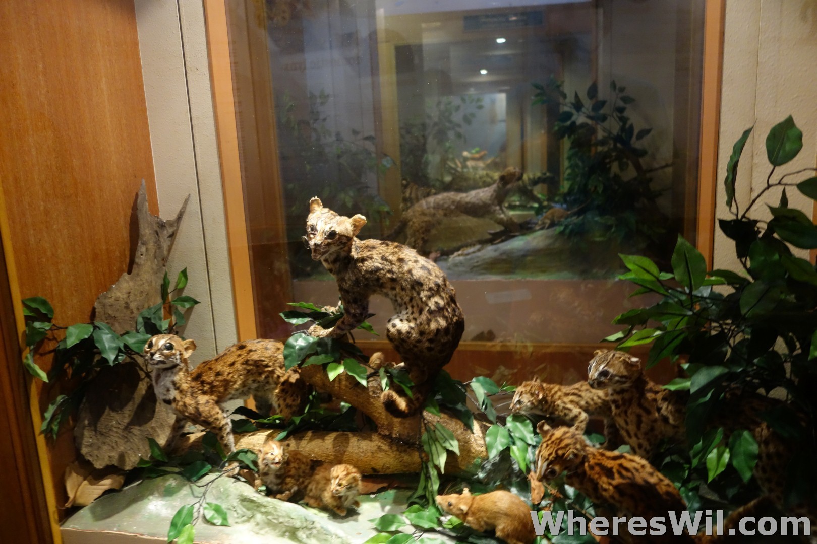 Kuching-Cat-Museum